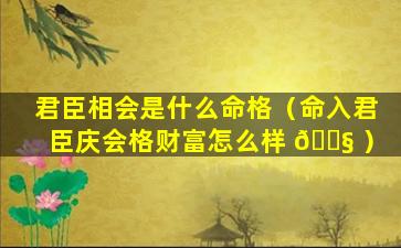 君臣相会是什么命格（命入君臣庆会格财富怎么样 🐧 ）